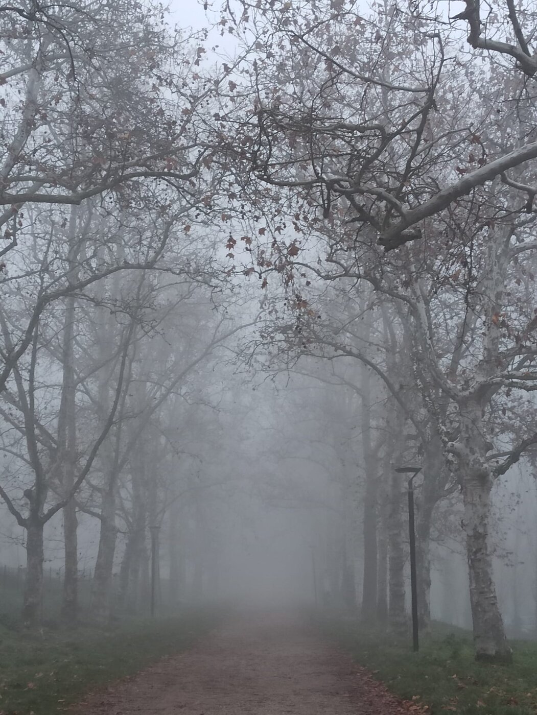 KỂ CHUYỆN NƯỚC Ý - SƯƠNG MÙ