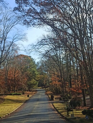 DU NGOẠN NƯỚC MỸ