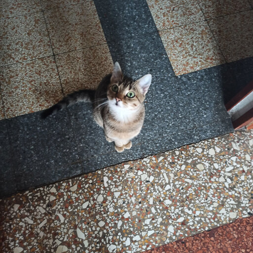 TUYỂN TẬP ZÔ I NƯƠNG NƯƠNG 28/3/2024