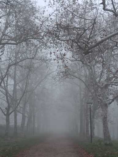 KỂ CHUYỆN NƯỚC Ý - SƯƠNG MÙ